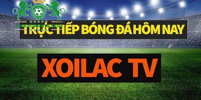 Xoilac TV cũng là một trong những trang trực tiếp bóng đá hàng đầu